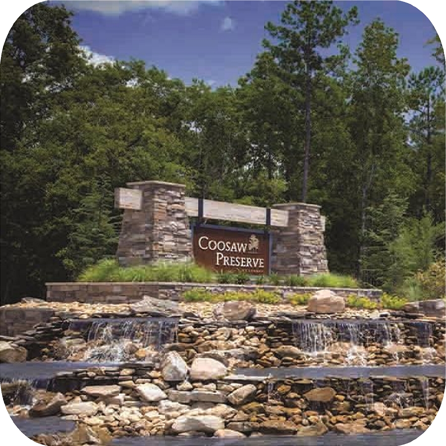 Coosaw Preserve