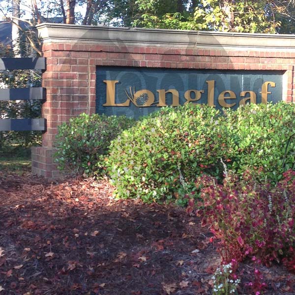 Longleaf