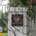 Willow Pointe