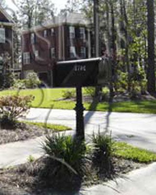 Pine Forest- Mailbox and Post