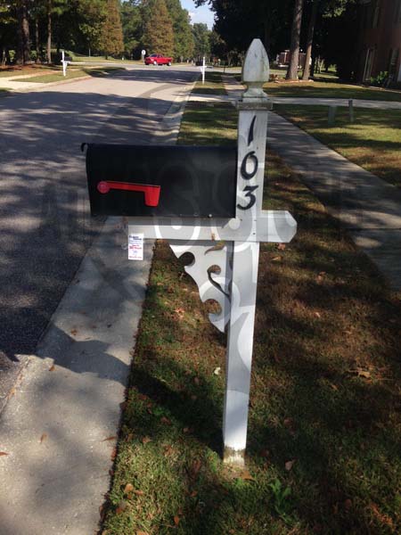 Lakeview Terrace- Mailbox and Post