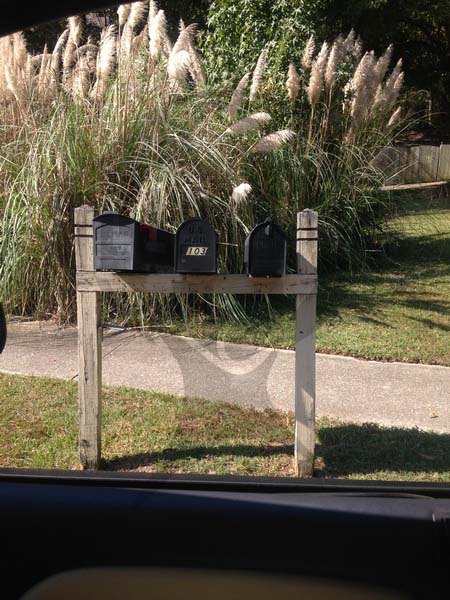 Stratford Forest- 3 Mailboxes and Post