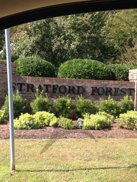 Stratford Forest