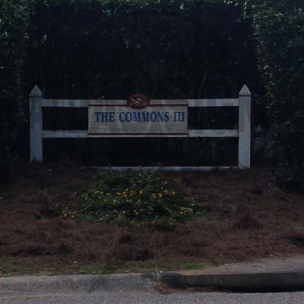 The Commons III