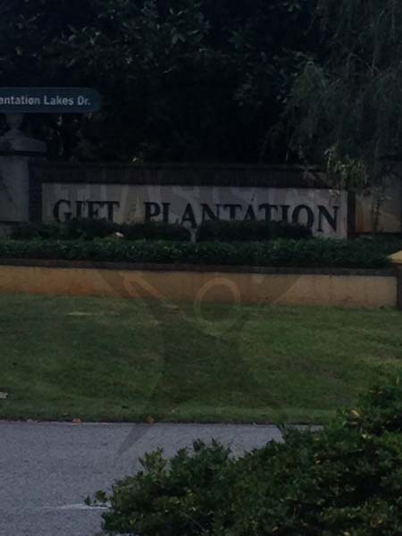 Gift Plantation
