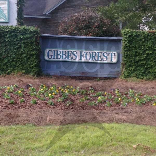Gibbes Forest