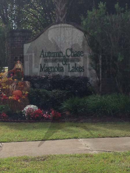 Autumn Chase & Magnolia Lakes