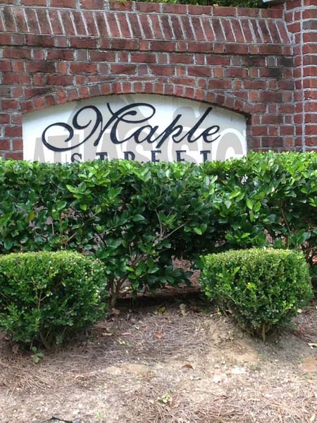 Maple Street